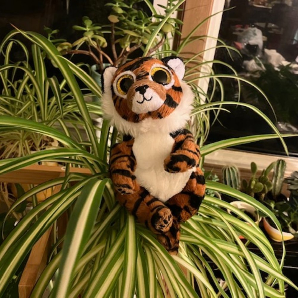 Clawdia the Tiger Beanie Baby